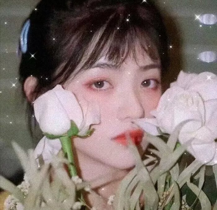 深入北方的小路