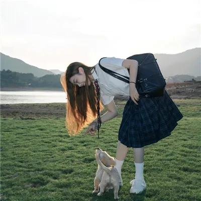 猎狐