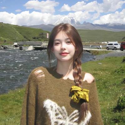 小查与寇弟的顶级冒险